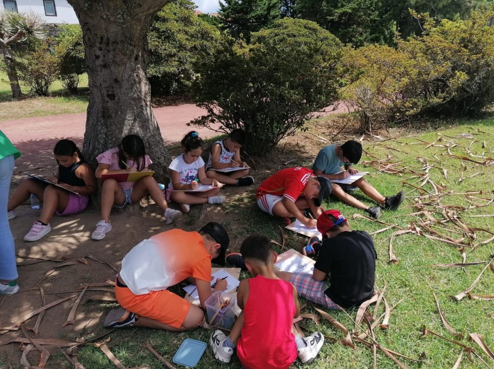 Summer camp aux Açores : projet éducatif et environnemental - Image 1