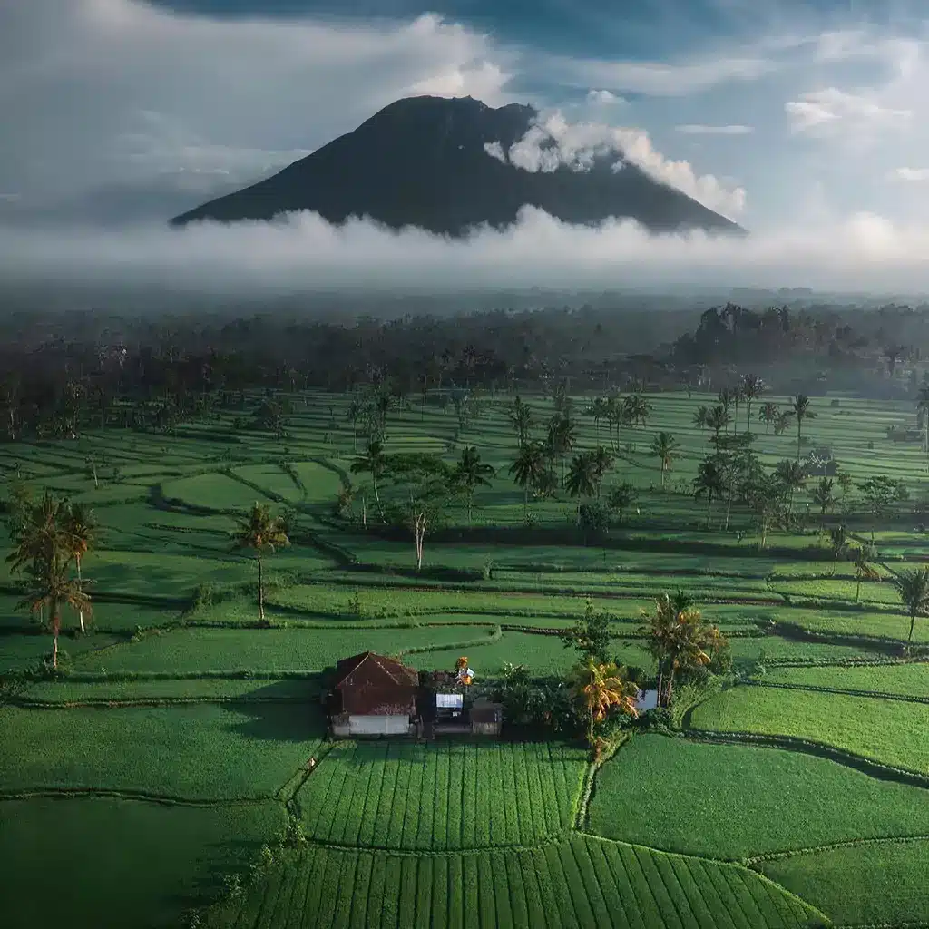 Bali - l'île des Dieux - Image 1