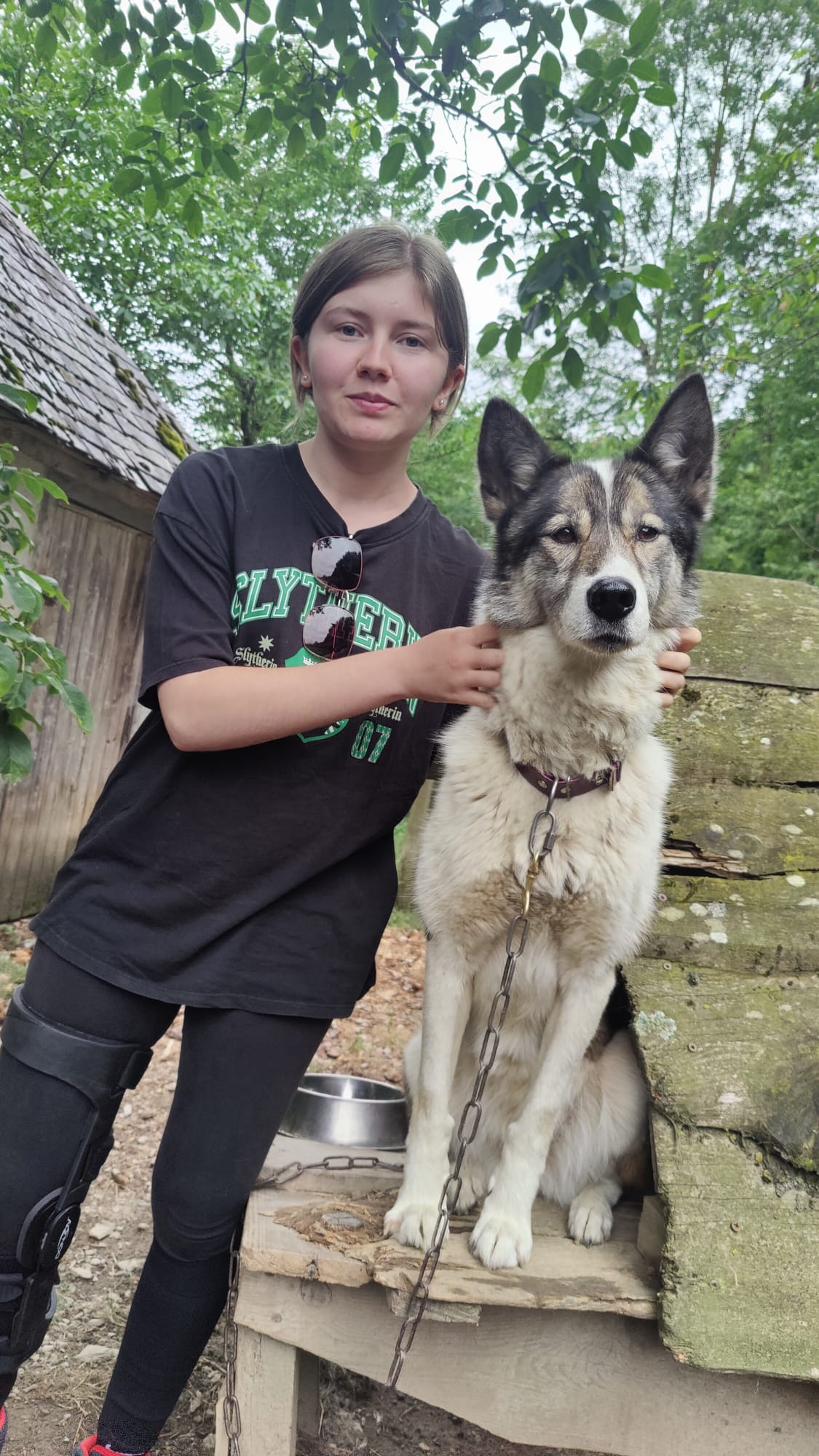 Friches et défriches … chantier d’ados - Image 2