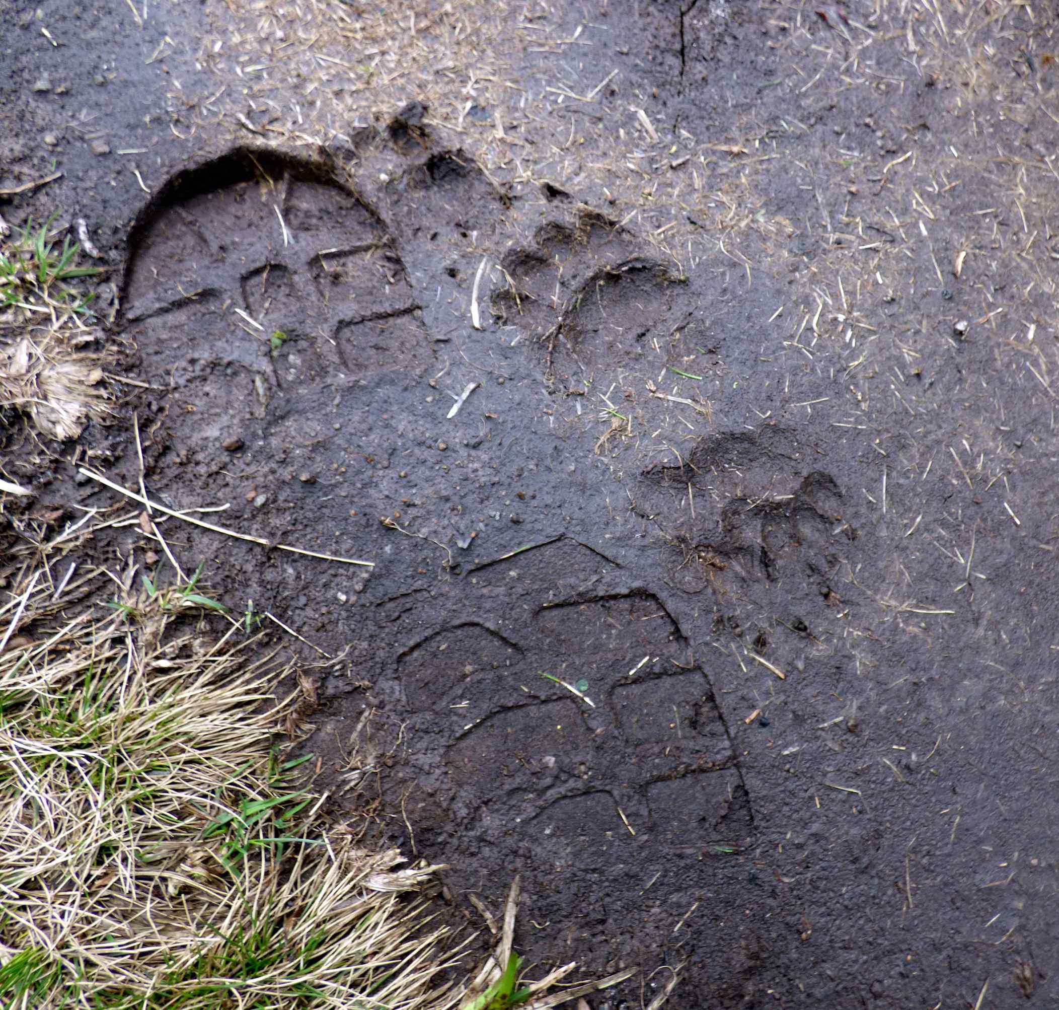 La Montagne, c’est la classe ! - Image 3