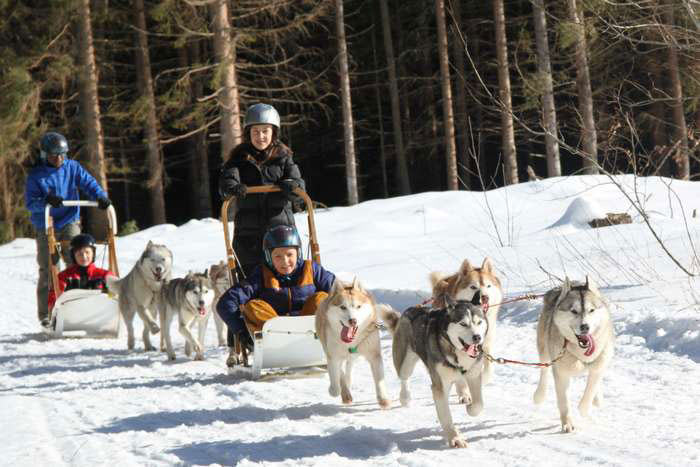 Mushers d'Auvergne (06-13 ans) - Image 1