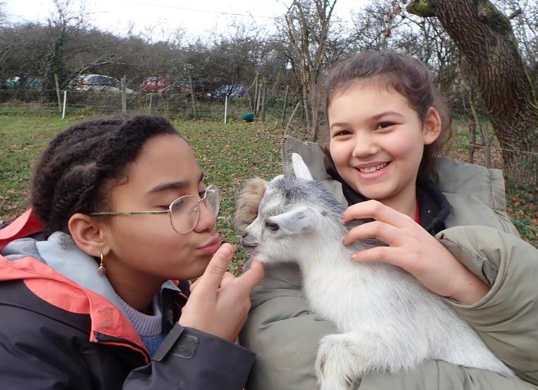 Colonie multi-activités au Moulin du Roy - Image 2