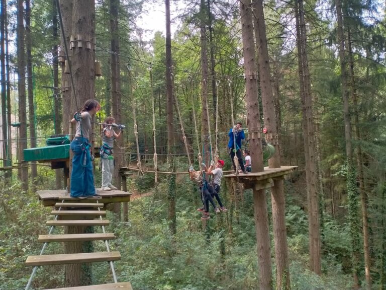 Les petits sportifs - Image 3