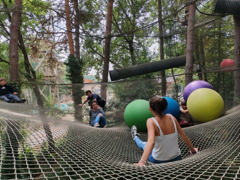 Les petits sportifs - Image 1