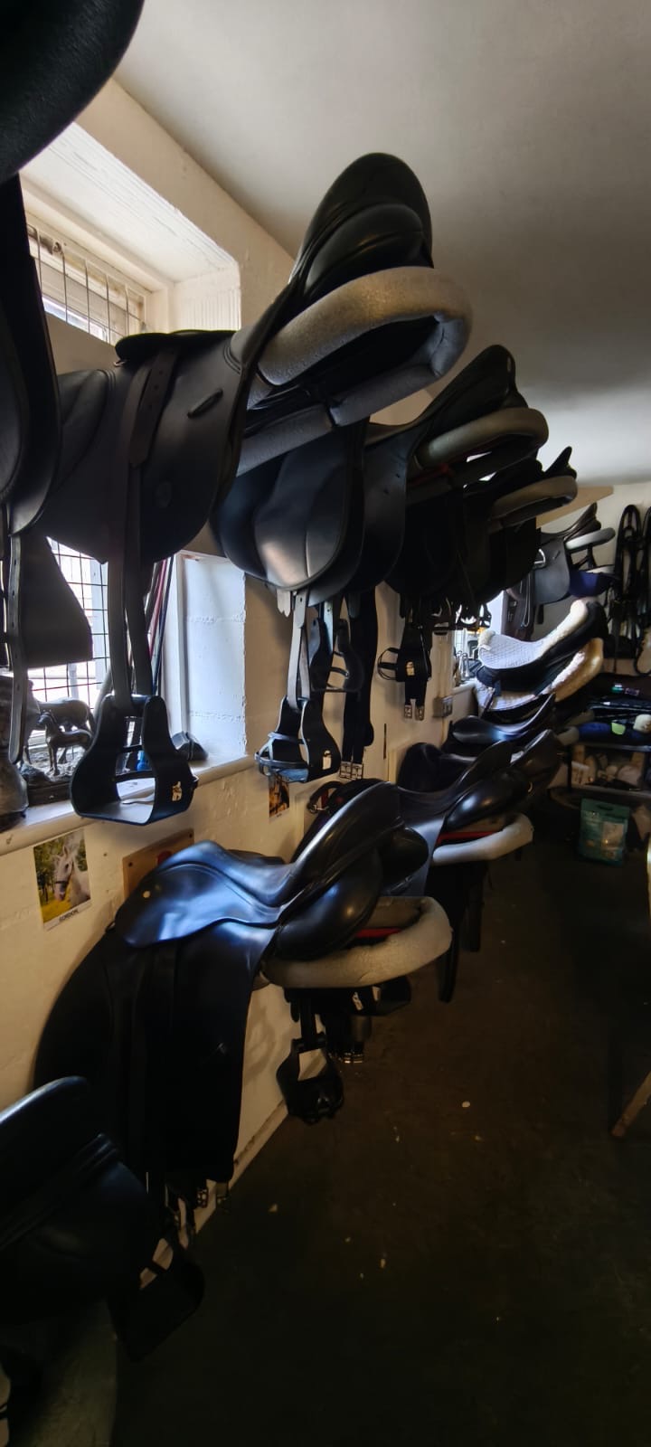 Ultimate Adventure - Option Équitation - Image 1