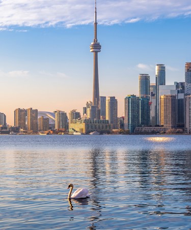 Séjour linguistique à Toronto en famille - Image 3