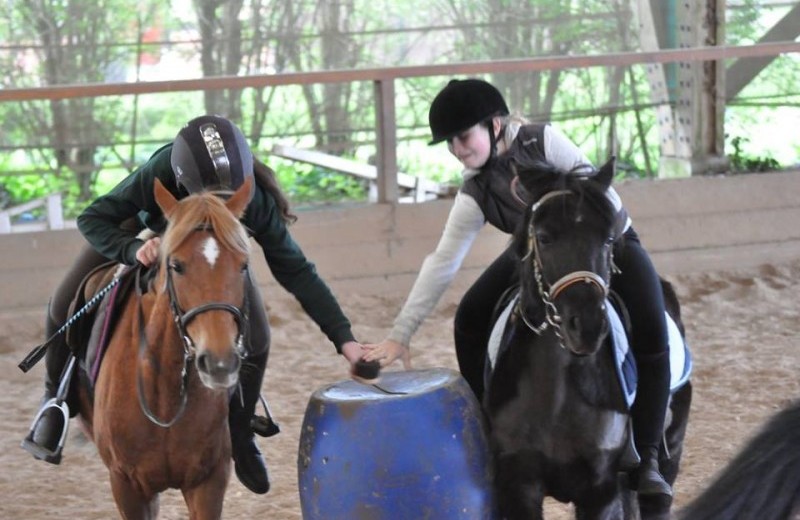 Stage 100% équitation - Image 3