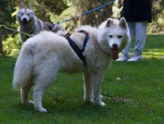 Sensations Evasion - 2026 - Image 2