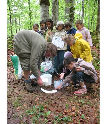 Sports Evasion - 2026 - Image 3