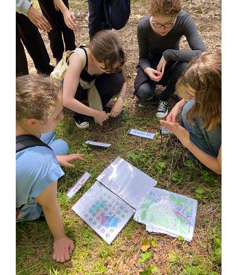 Parcours Sensations - 2026 - Image 1