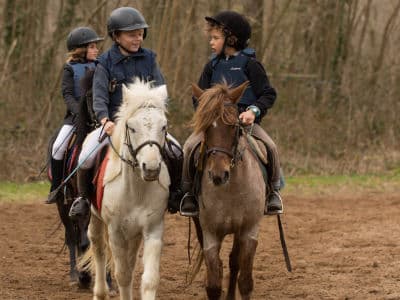 Séjours classiques 100% équitation ! 8/11 ans - Image 2