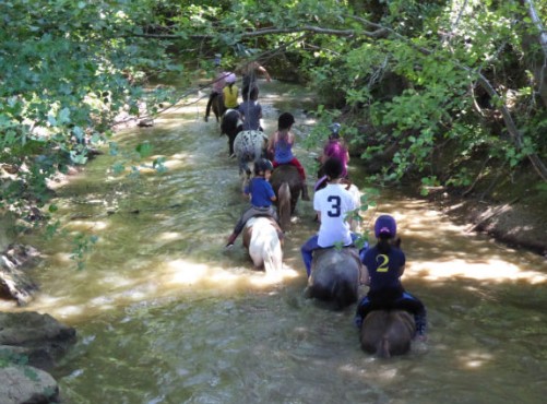 Séjours classiques 100% équitation ! 12/15 ans - Image 3