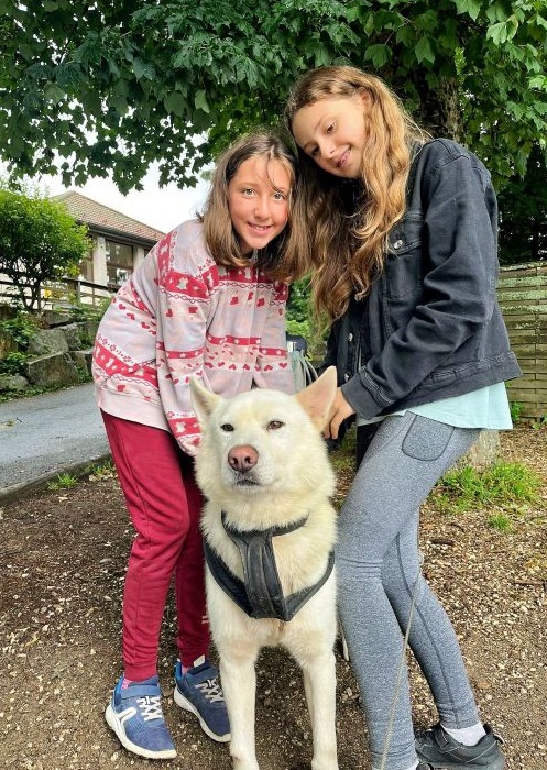 Cani rando (ETE) - Image 2