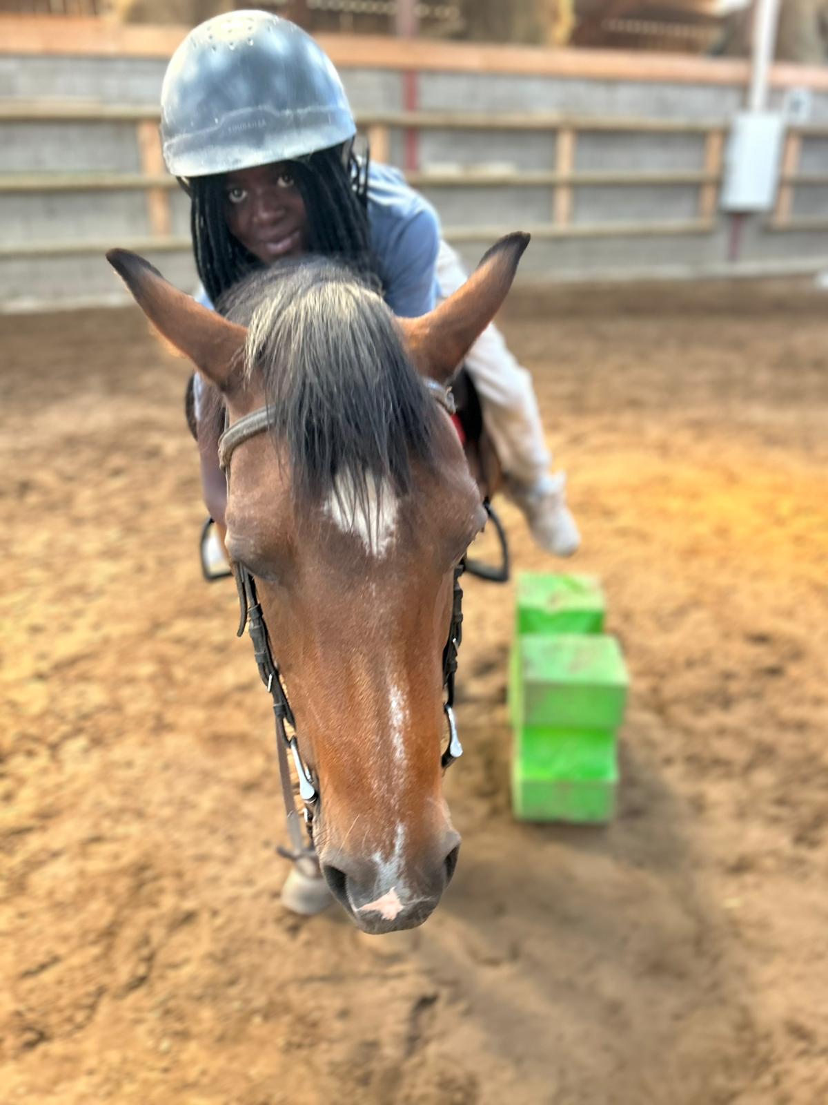 100% EQUITATION - Image 2