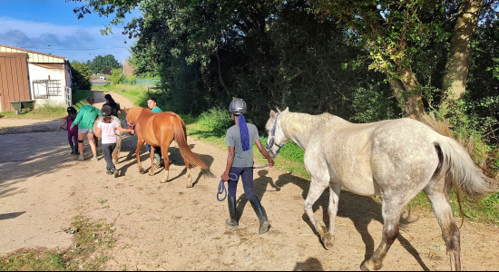 Passion Cheval - Image 3