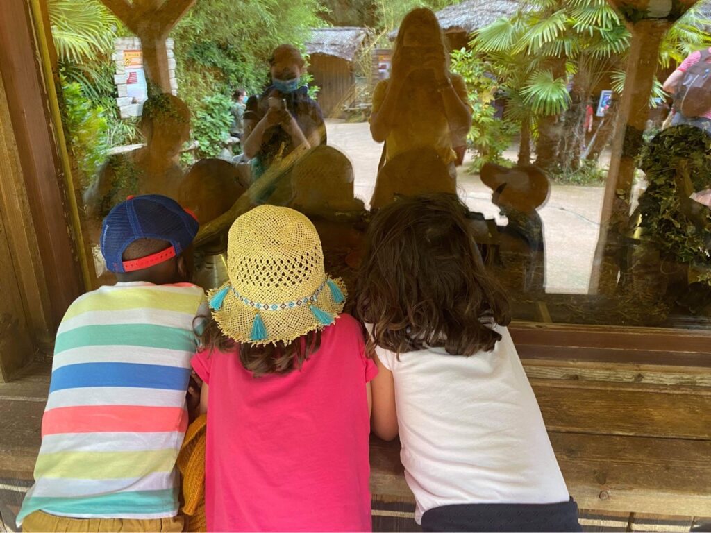 MA COLO AU ZOO DE LA FLÈCHE - Image 2