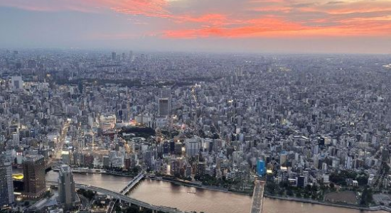 Tokyo, l’escapade Sakura - Image 3