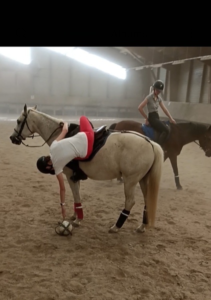 Séjour équestre en Bretagne - Image 1