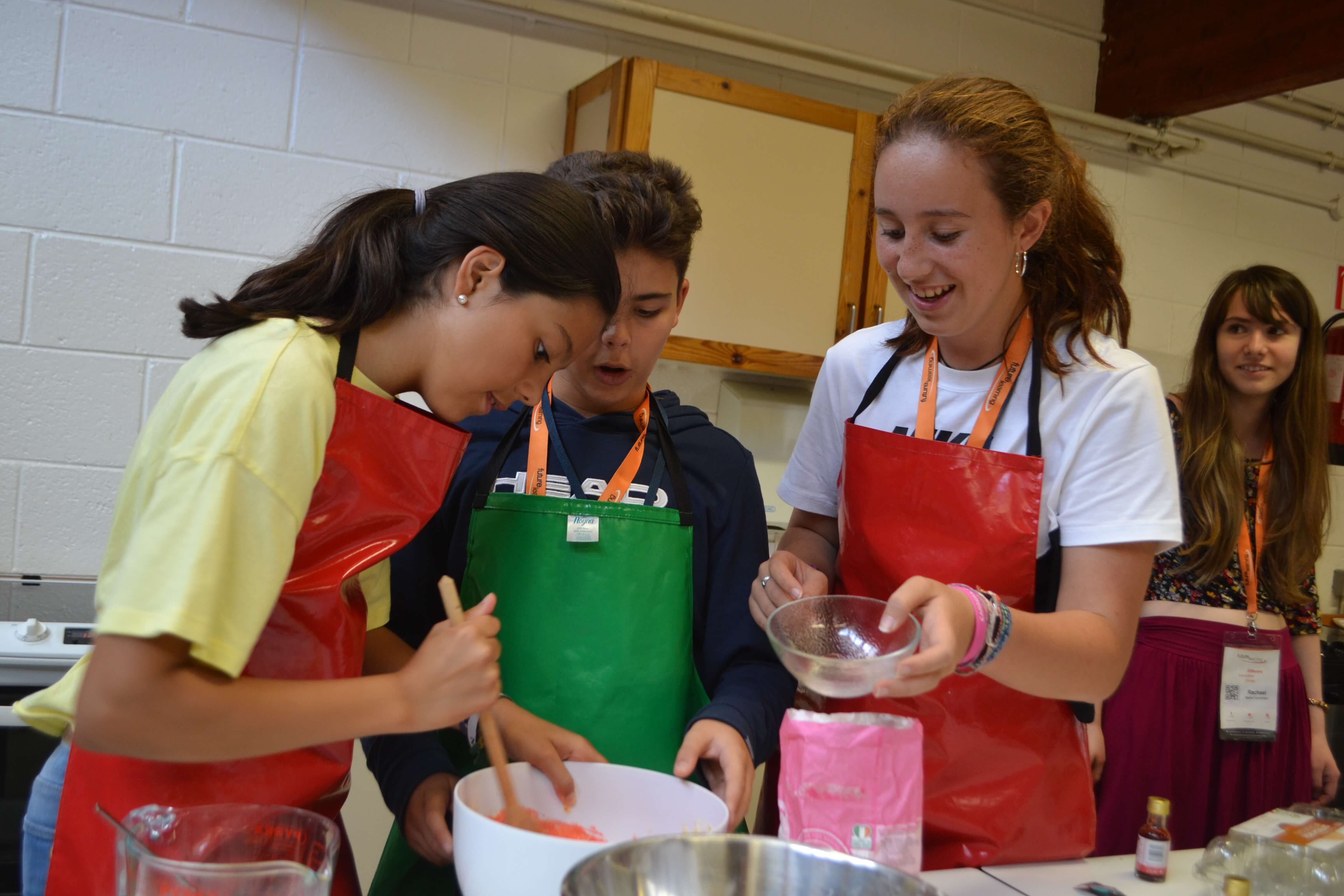 Séjour linguistique anglais et technologie à Dublin en famille - Image 2