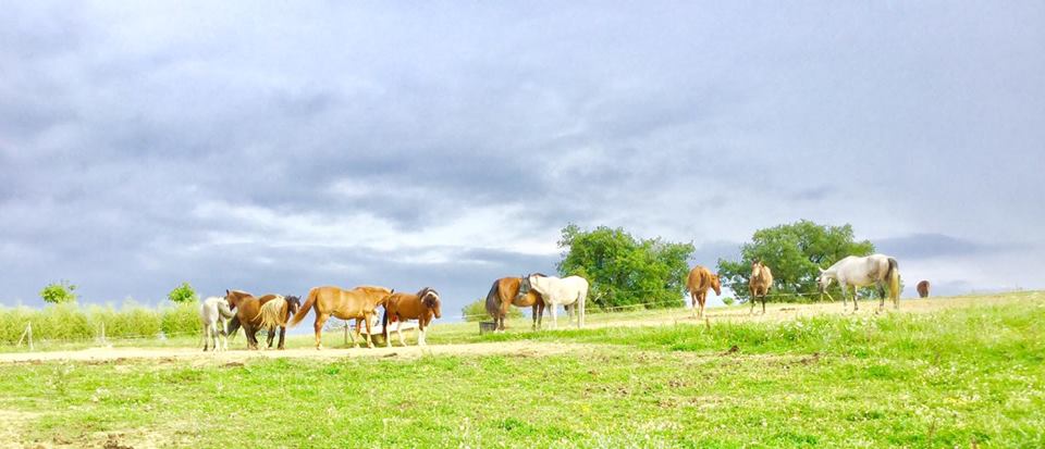 Echappées belles - Image 1
