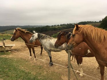 Echappées belles - Image 2