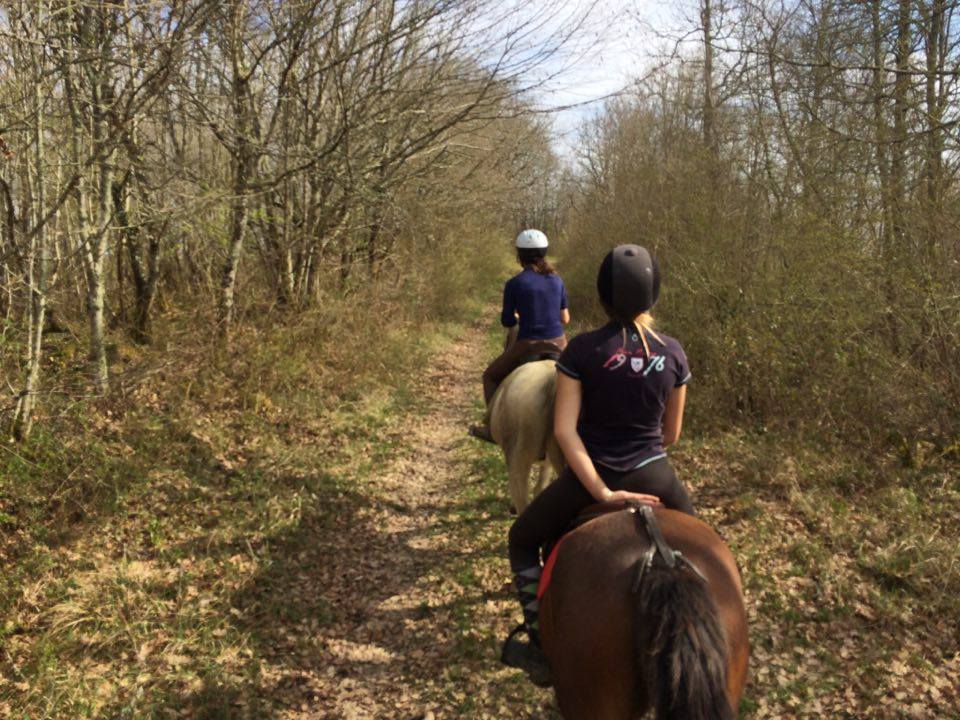 Echappées belles - Image 3