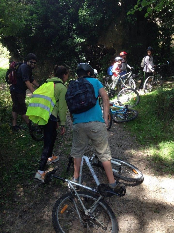 Les Robinsons à la ferme - Image 3