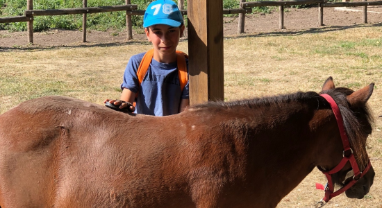 Passion équitation au château (été) - Image 1