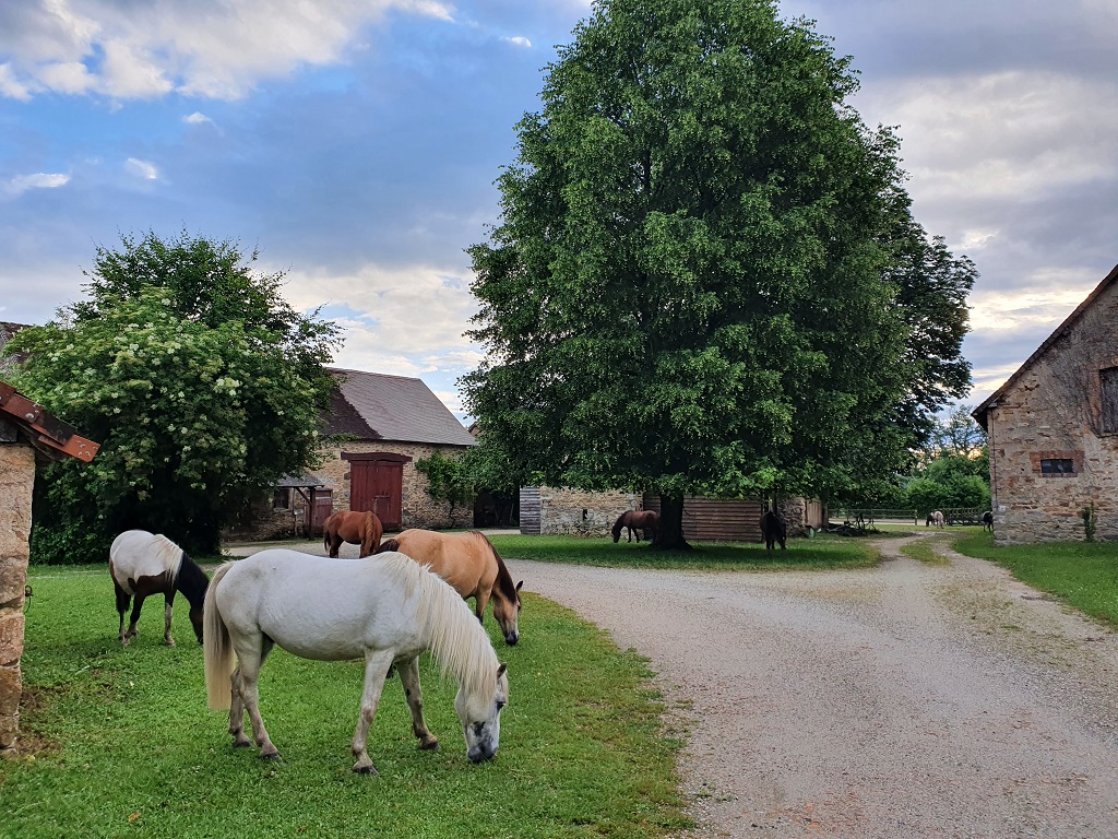 Séjour Remob' - Image 2