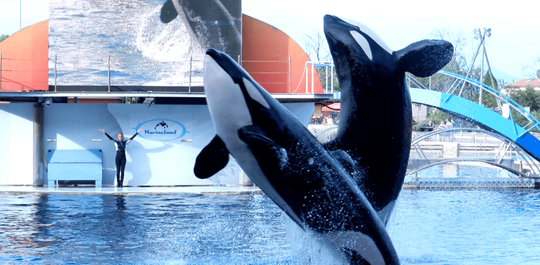 Cap soleil - Image 3