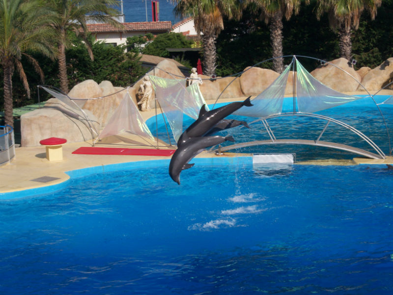 Cap soleil - Image 2