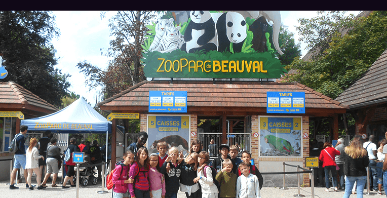 Animaux du monde - Image 3