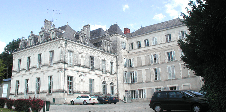 Graine de Cavalier - Image 2