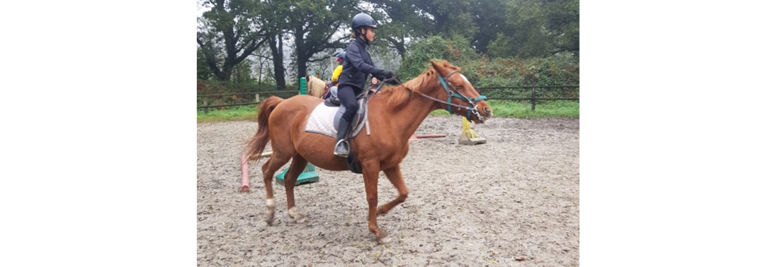Séjours stage équitation 12-15 ans Centre Bretagne