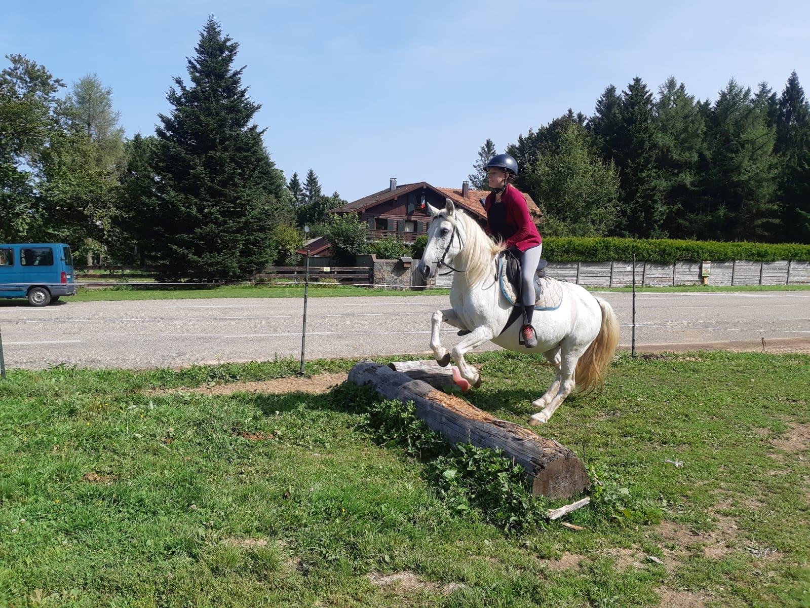 Cheval Sport  - Image 1