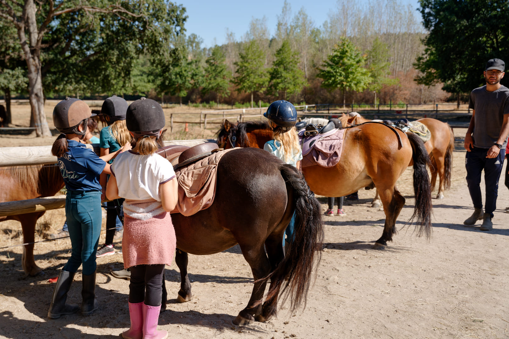 Colonie de vacances Z'animaux c'est trop rigolo