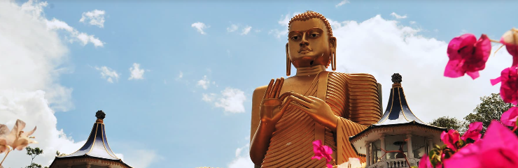 Voyagez au Sri Lanka