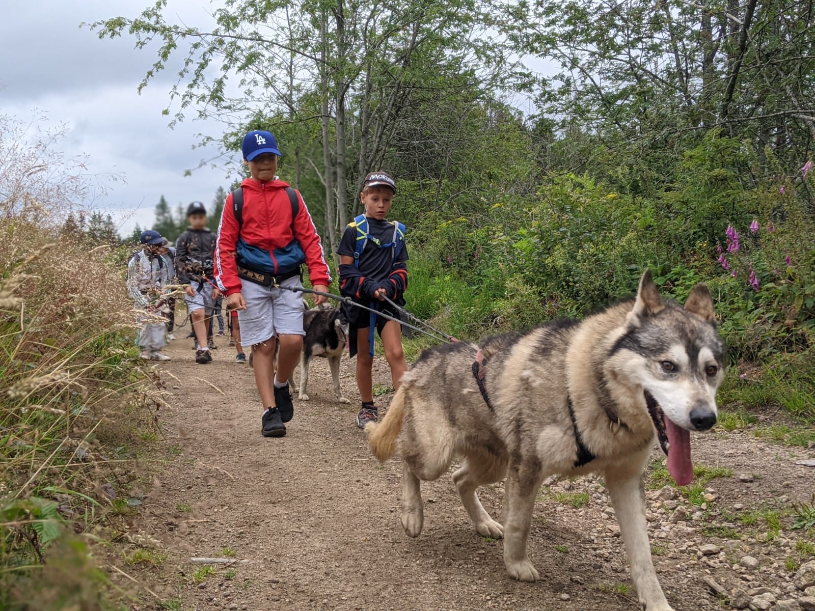 Aventurier du Pilat (PRINTEMPS) 