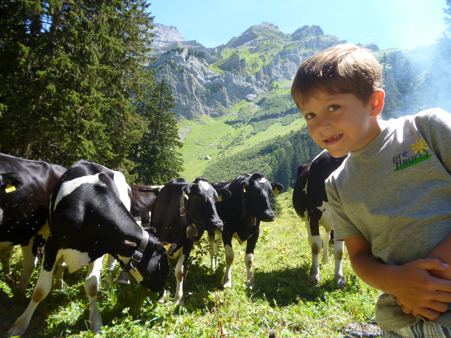 Camp découverte et initiation