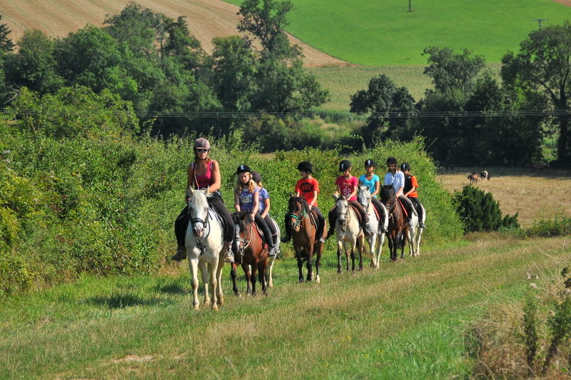 Séjours classiques 100% équitation ! +1m40 - Image 2