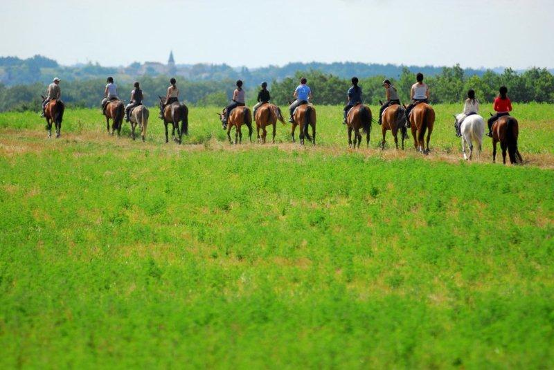 Equitation Option Bien dans mes baskets - Image 3