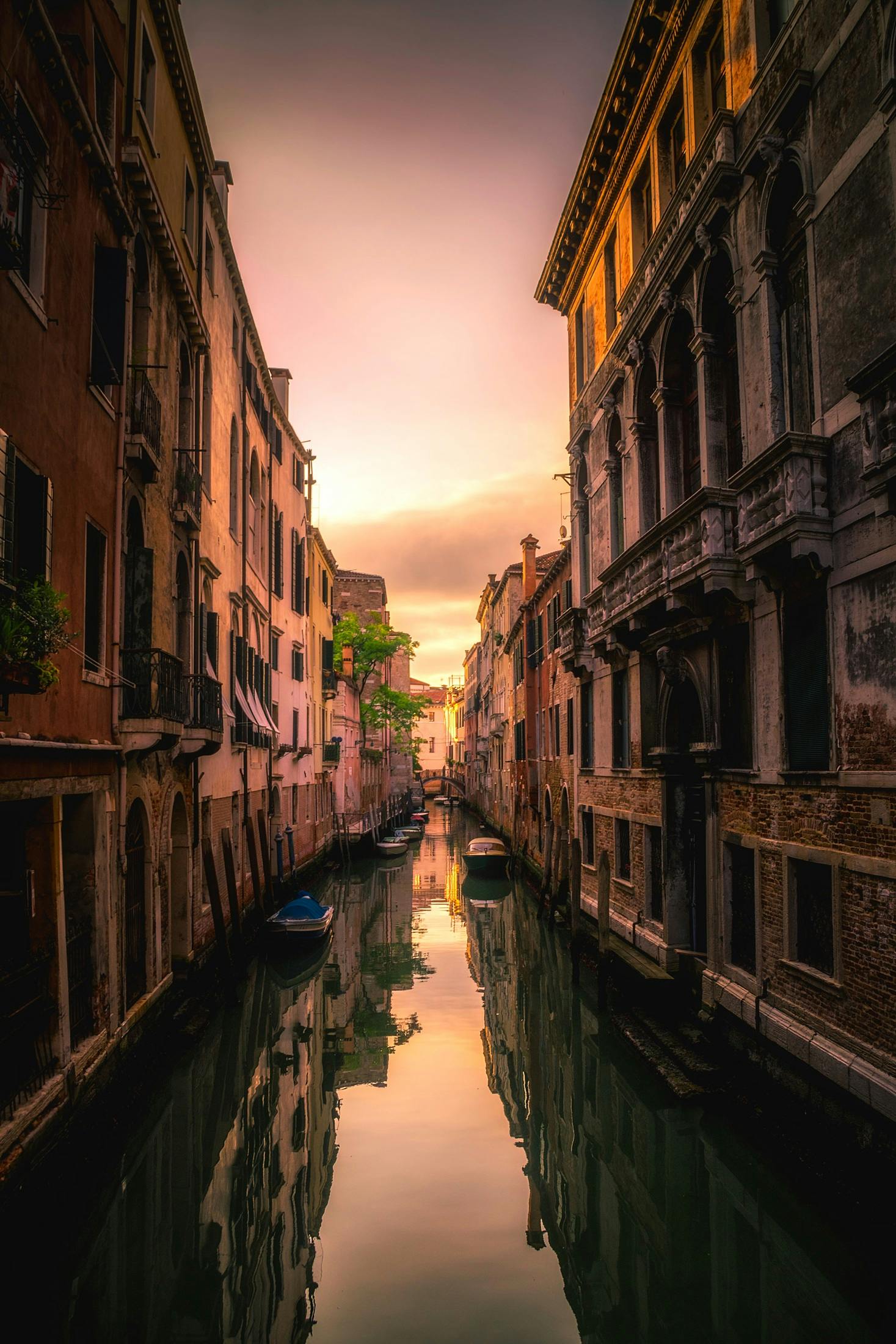 Venise et sa Dolce Vita - Image 1