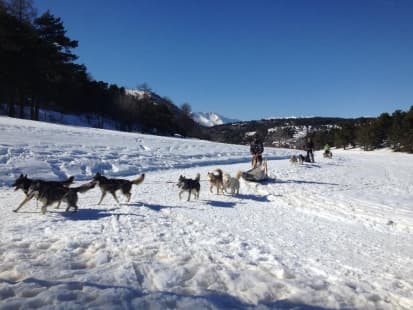 Cocktail Activité Neige Alpes du Sud
