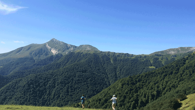 Escapade Nature au coeur de la fôrét d'Iraty