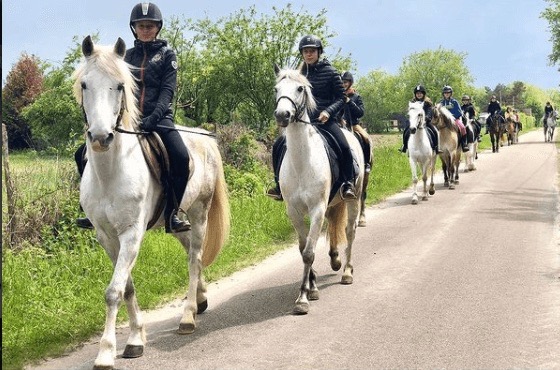 Séjour découverte équitation