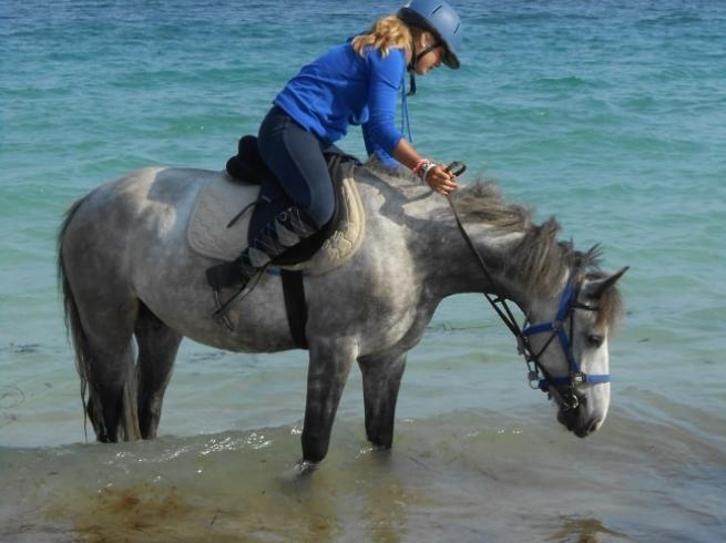 Stage d'Equitation automne - Image 1