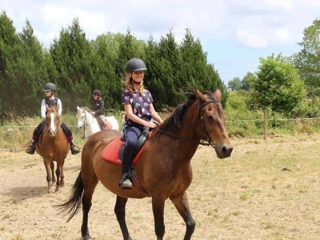 Equi-Passion - Image 3
