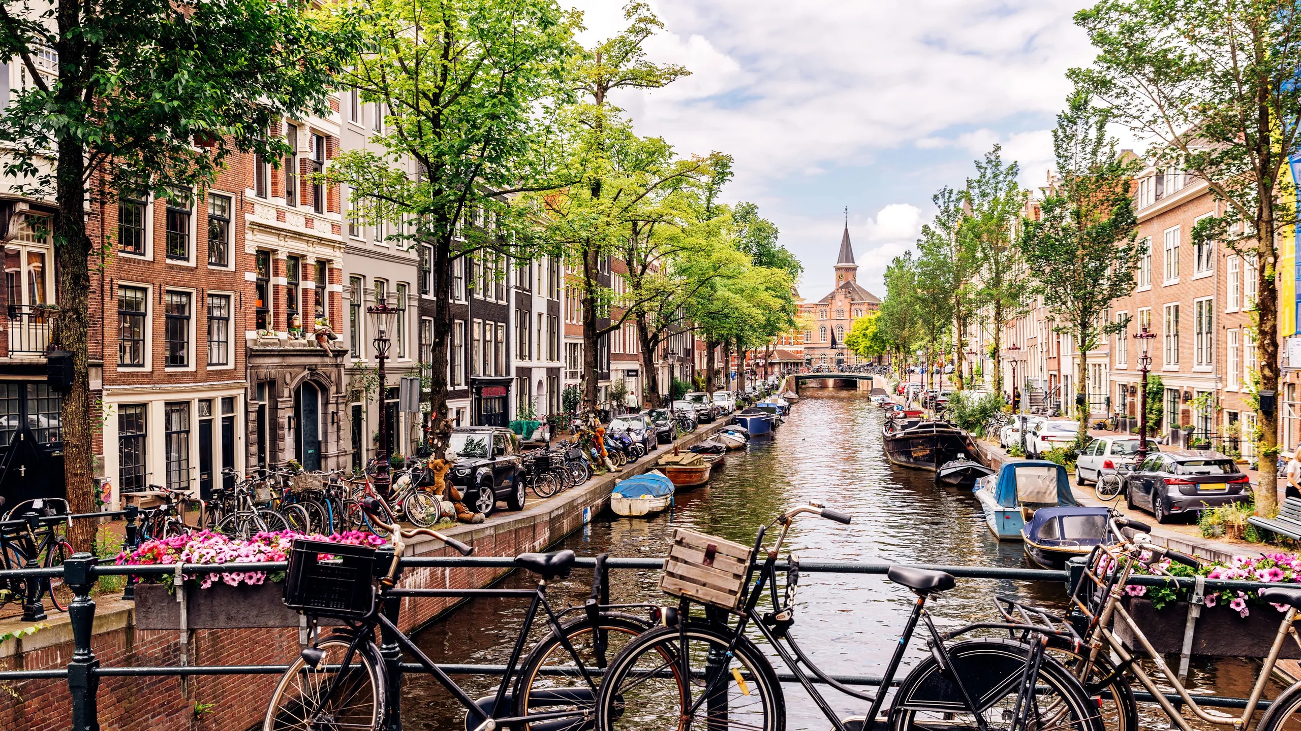 Souris à Hamsterdam ! (12-14 ans) - Image 2