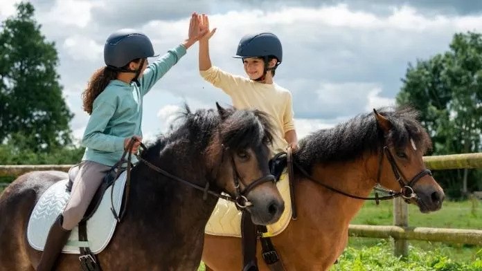 Camp sport équitation