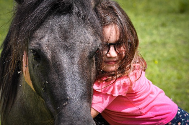 Camp de poney 6-12 ans